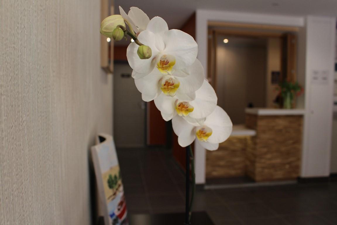Hotel Yatt 3*